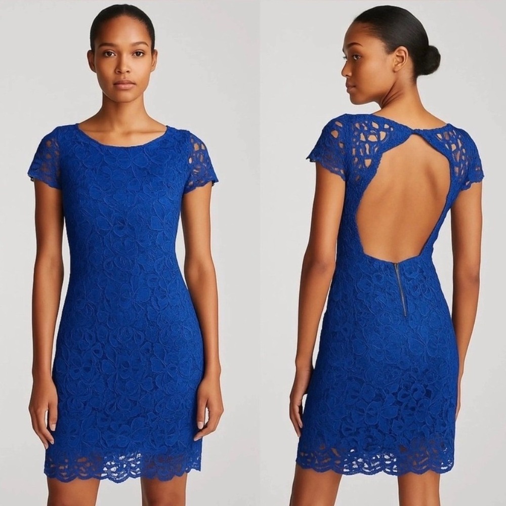 Alice + Olivia Jayna Open Back Lace Sheath Dress Royal Cobalt Blue Small